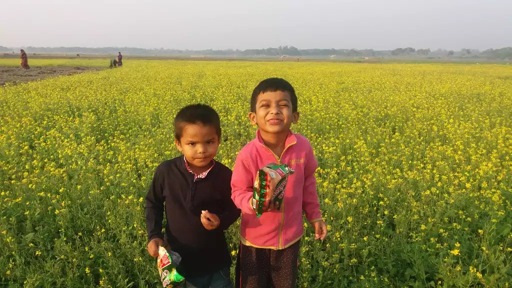 আবরার ও সাইফ