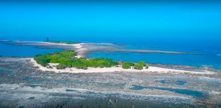 সেন্ট মার্টিন